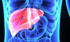 5 علامات تحذيرية تشير إلى “مشكلات خطيرة” في الكبد